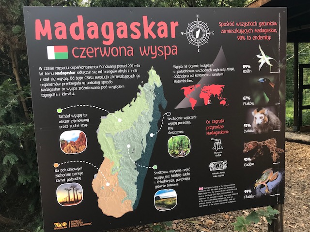 Wyjazd edukacyjny klasy 4LC do Wrocławia (20)