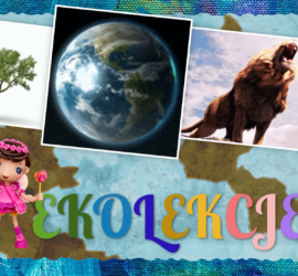 ekolekcje